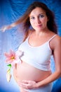 Pregnant girl with a flower. A pregnant woman with a lily. Pregnant woman holding her belly itself Royalty Free Stock Photo