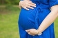 a pregnant girl holds her belly with her hands in anticipation of a baby Royalty Free Stock Photo