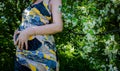 A pregnant girl hugs her belly with two hands Royalty Free Stock Photo