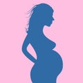 Pregnant girl isolated on white background. Pregnant woman silhouette Royalty Free Stock Photo