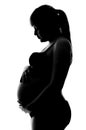 Pregnant girl in underwear in profile Royalty Free Stock Photo