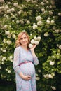 Pregnant happy Woman touching her belly. Pregnant middle aged mother portrait, caressing her belly and smiling close-up. Healthy P Royalty Free Stock Photo