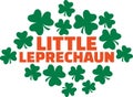 For Pregnant Irish woman - Little leprechaun