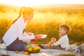 Pregnant mom and her beautiful little son at a picnic. Happy family and healthy eating concept Royalty Free Stock Photo