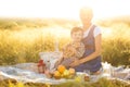 Pregnant mom and her beautiful little son at a picnic. Happy family and healthy eating concept Royalty Free Stock Photo