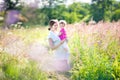 Pregnant mother and her toddler walking in meadow Royalty Free Stock Photo