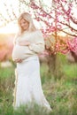 Pregnant pretty woman in spring blossom garden Royalty Free Stock Photo