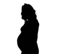 Pregnant woman Royalty Free Stock Photo