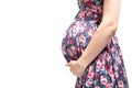 Pregnant woman in beautiful dress touching her belly with hands Royalty Free Stock Photo