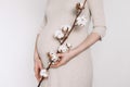 Pregnant woman in beige dress touching belly, cotton flower, preparing go to maternity hospital for childbirth Royalty Free Stock Photo