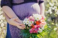 Pregnant woman belly closeup Royalty Free Stock Photo