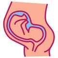 Pregnant woman belly with embryo