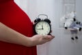 Pregnant woman belly. Pregnant girl in a red dress with an alarm clock