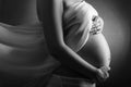 Pregnant woman, black and white photo of pregnancy in the eighth month.Pregnant Woman Belly. Pregnancy Concept.