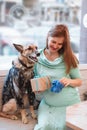 Pregnant woman in blue dress is sitting in cafe with her dog in sweater and holding gift box and blue knitted bootee Royalty Free Stock Photo