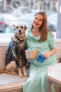 Pregnant woman in blue dress is sitting in cafe with her dog in sweater and holding gift box and blue knitted bootee Royalty Free Stock Photo