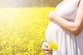 Pregnant woman in canola field Royalty Free Stock Photo