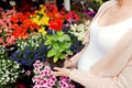 Pregnant woman choosing flowers at street market Royalty Free Stock Photo