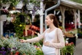 Pregnant woman choosing flowers at street market Royalty Free Stock Photo