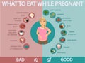 Pregnant woman diet infographic.