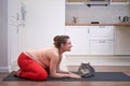 A pregnant woman does yoga at home and does exercises in the cat cow pose Royalty Free Stock Photo