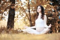 Pregnant woman doing yoga exercise in autumn Royalty Free Stock Photo