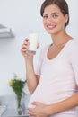 Pregnant woman drinking a glass of milk Royalty Free Stock Photo