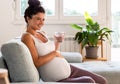 Pregnant woman drinking water on sofa at home Royalty Free Stock Photo