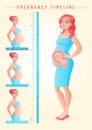 Pregnant woman with fetus. Pregnancy timeline vector illustration.