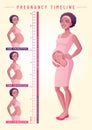 Pregnant woman with fetus. Pregnancy timeline vector illustration.