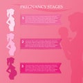 Pregnant woman - first, second and third trimester