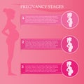 Pregnant woman - first, second and third trimester