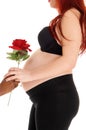 Pregnant woman gets rose. Royalty Free Stock Photo