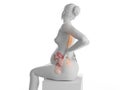 A pregnant woman having backache Royalty Free Stock Photo
