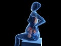 A pregnant woman having backache Royalty Free Stock Photo