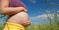 Pregnant woman hold hands on belly Royalty Free Stock Photo