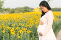 Pregnant woman holding belly with sun flower garden background. Royalty Free Stock Photo