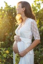 Pregnant woman holding bunch of grapes near belly Royalty Free Stock Photo