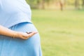 Pregnant woman holding Folic acid and Vitamin in garden. Royalty Free Stock Photo