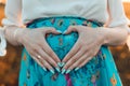 Pregnant woman holding hands on belly Royalty Free Stock Photo