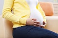 Pregnant woman holding her baby bump Royalty Free Stock Photo