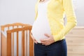 Pregnant woman holding her baby bump Royalty Free Stock Photo