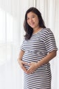 Pregnant woman holding her belly with copy space. Royalty Free Stock Photo