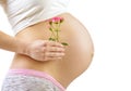 Pregnant Woman holding her hands with flower on her baby bump. Royalty Free Stock Photo