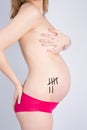 Pregnant Woman holding her hands on her body Royalty Free Stock Photo