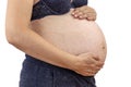 Pregnant woman holding her tummy Royalty Free Stock Photo