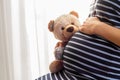 Pregnant woman holding teddy bear toy