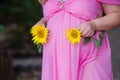 Pregnant woman holding two flowers sunflower in studio Royalty Free Stock Photo