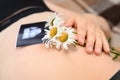 A pregnant woman holds a photo of an ultrasound scan and a daisy on her stomach.