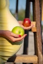 A pregnant woman holds an apple in her hands Royalty Free Stock Photo